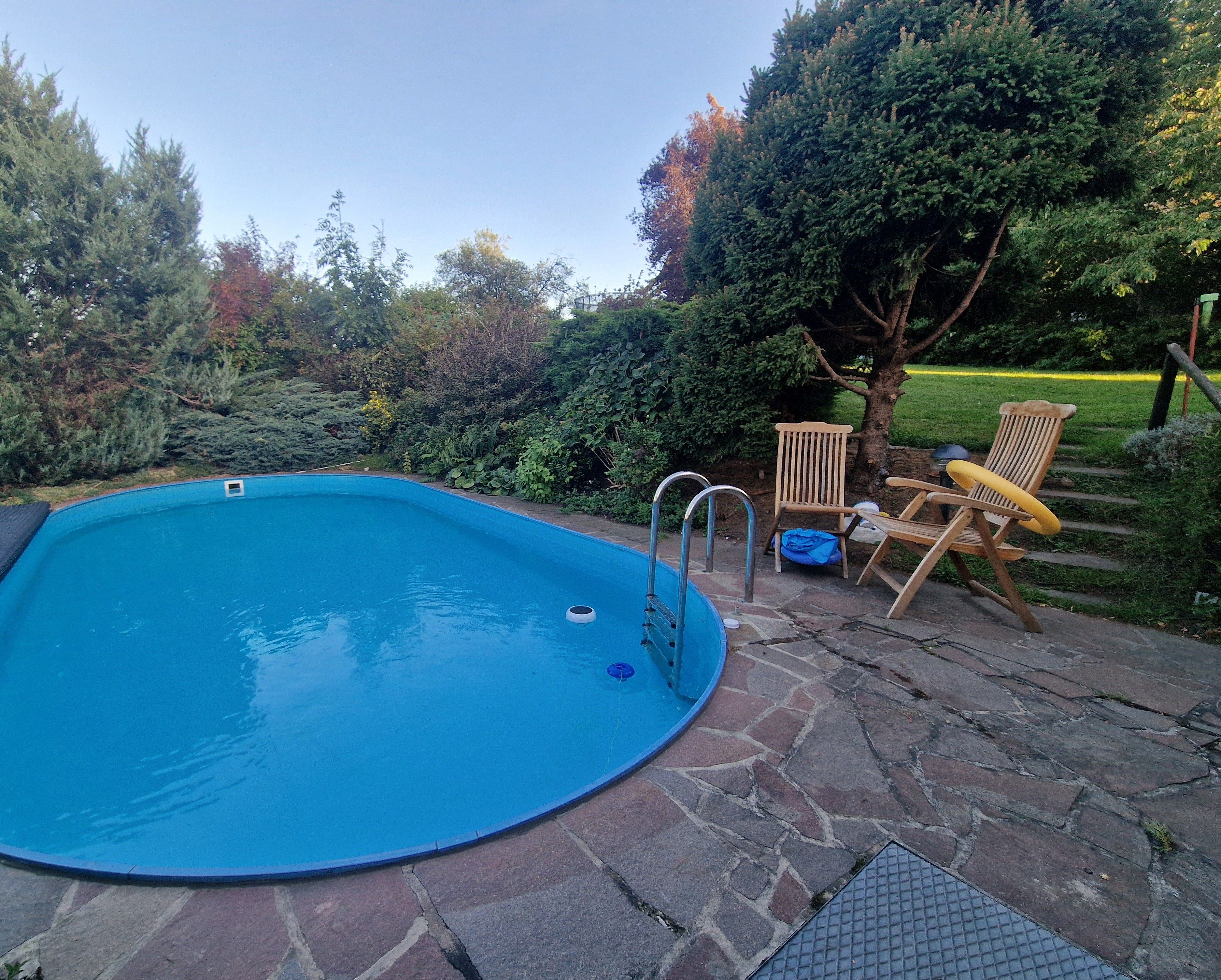 A swimming pool with a stone patio, two wooden chairs, and a tree in the background.