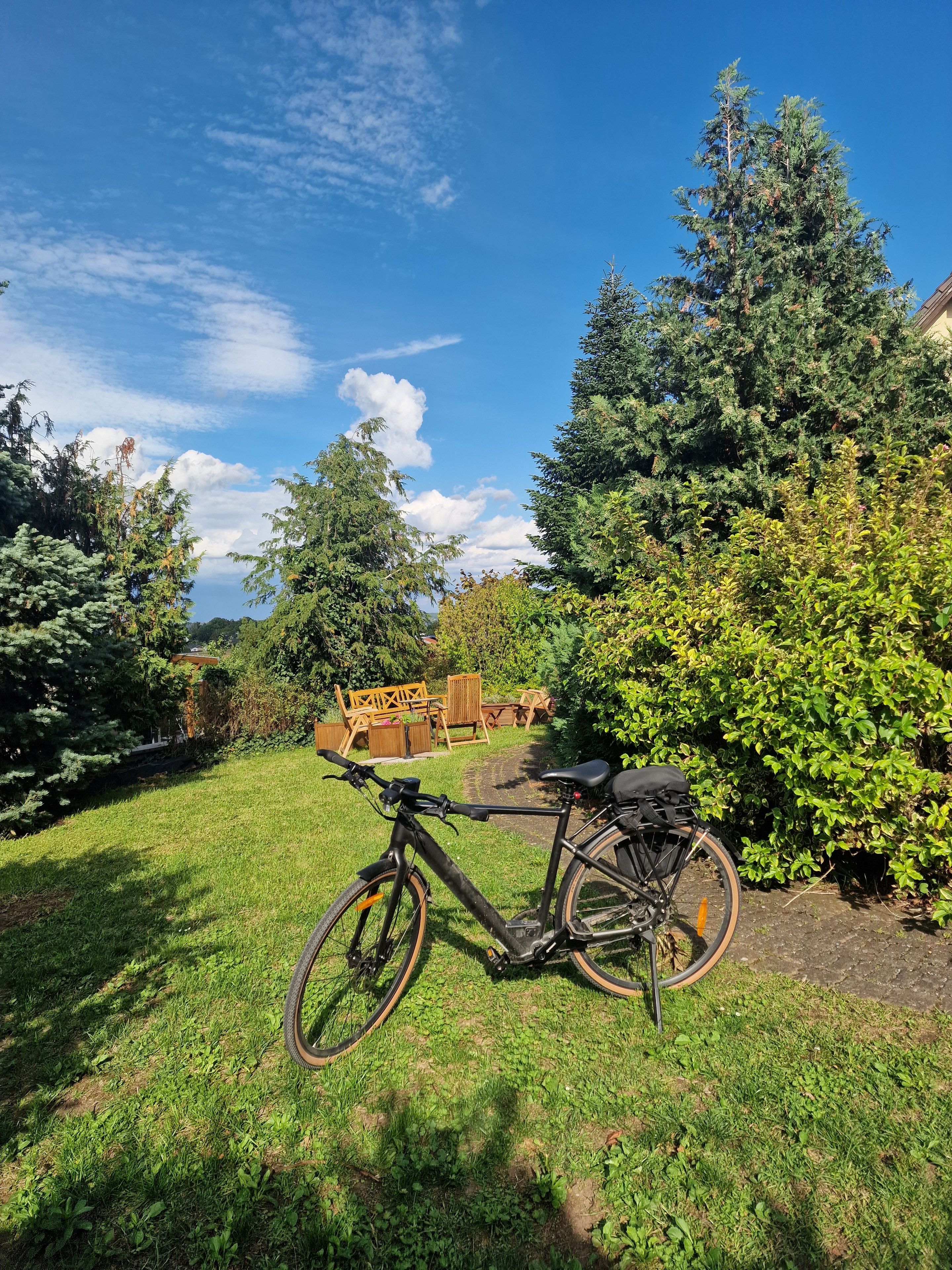 A bicycle parked on a grassy area with a clear sky and trees in the background.