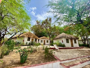 Vista al jardín