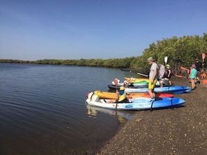 A group of people on a beach with kayaks lined up. - Les Barracudas (Fatick)