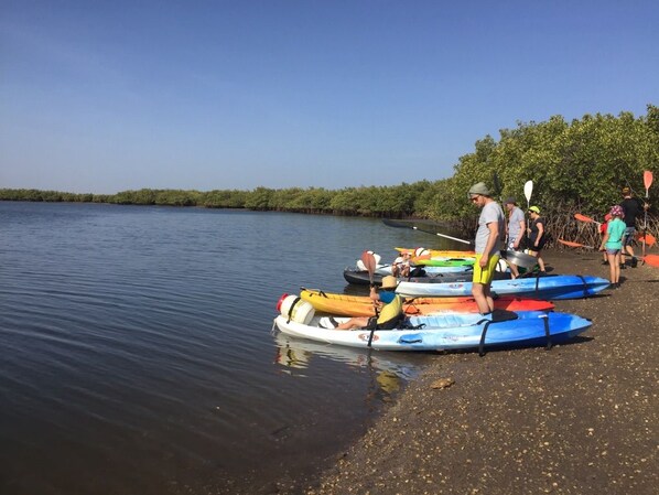 Un grupo de personas en una playa con kayaks alineados.