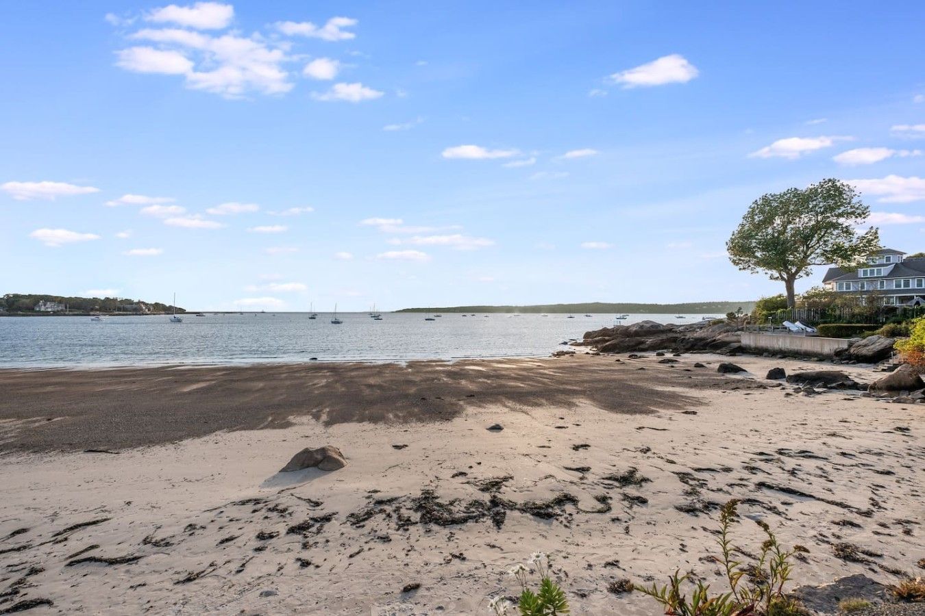 A beach with a sandy shore, a large tree, and a house in the background.