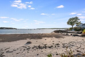 A beach with a sandy shore, a large tree, and a house in the background.
