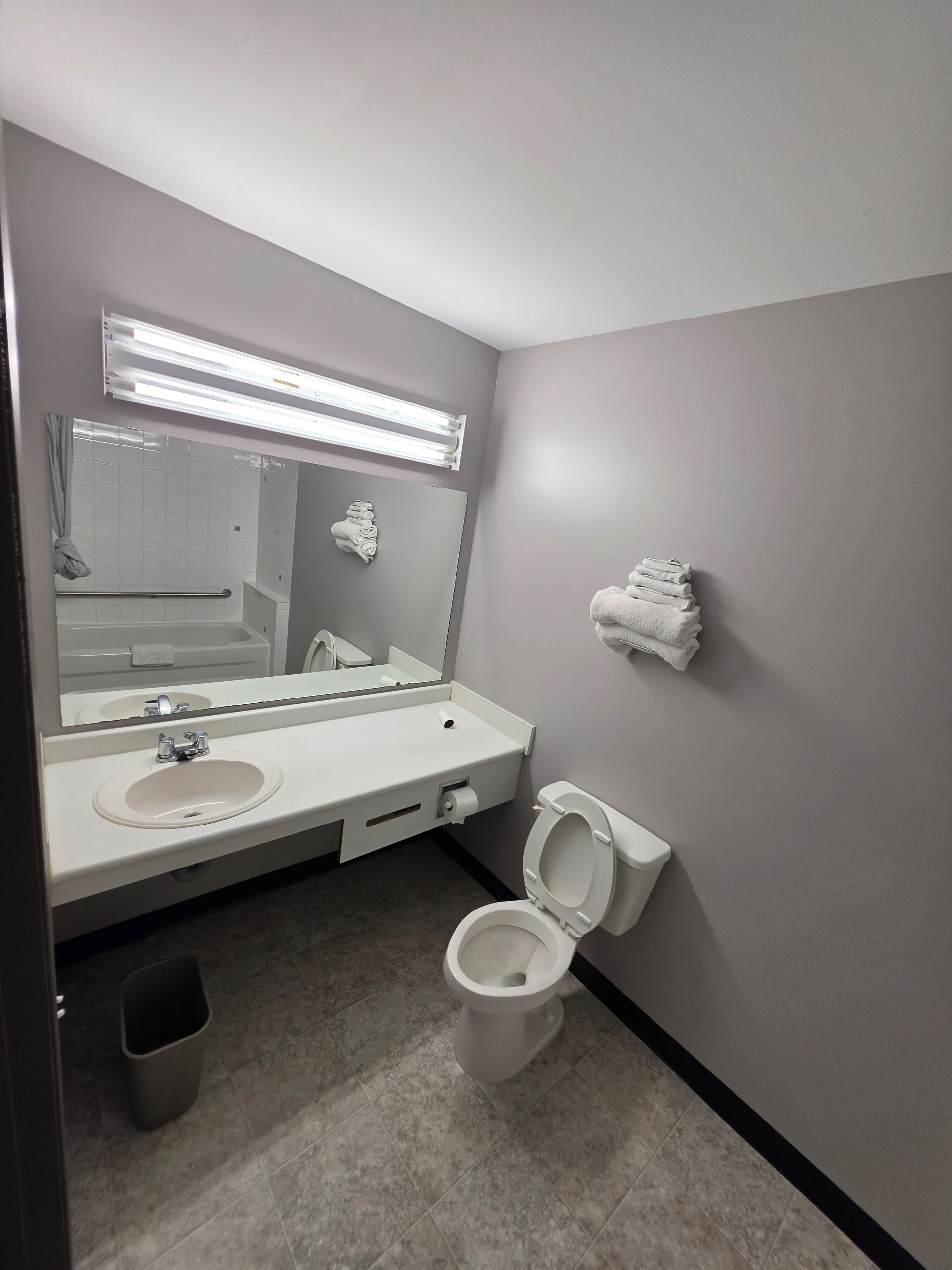 Un bagno con un lavandino, uno specchio e un WC bianchi. È presente un porta asciugamani a parete e un cestino.
