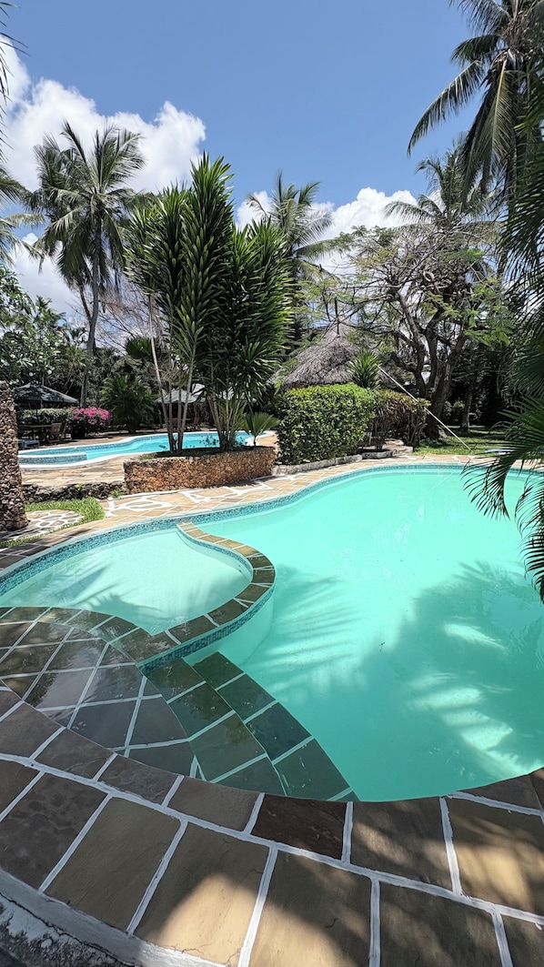 A swimming pool with a curved design, surrounded by palm trees and a stone pathway.