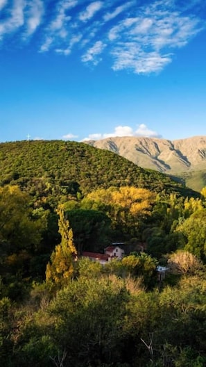 A rural landscape with a house nestled among trees and hills.