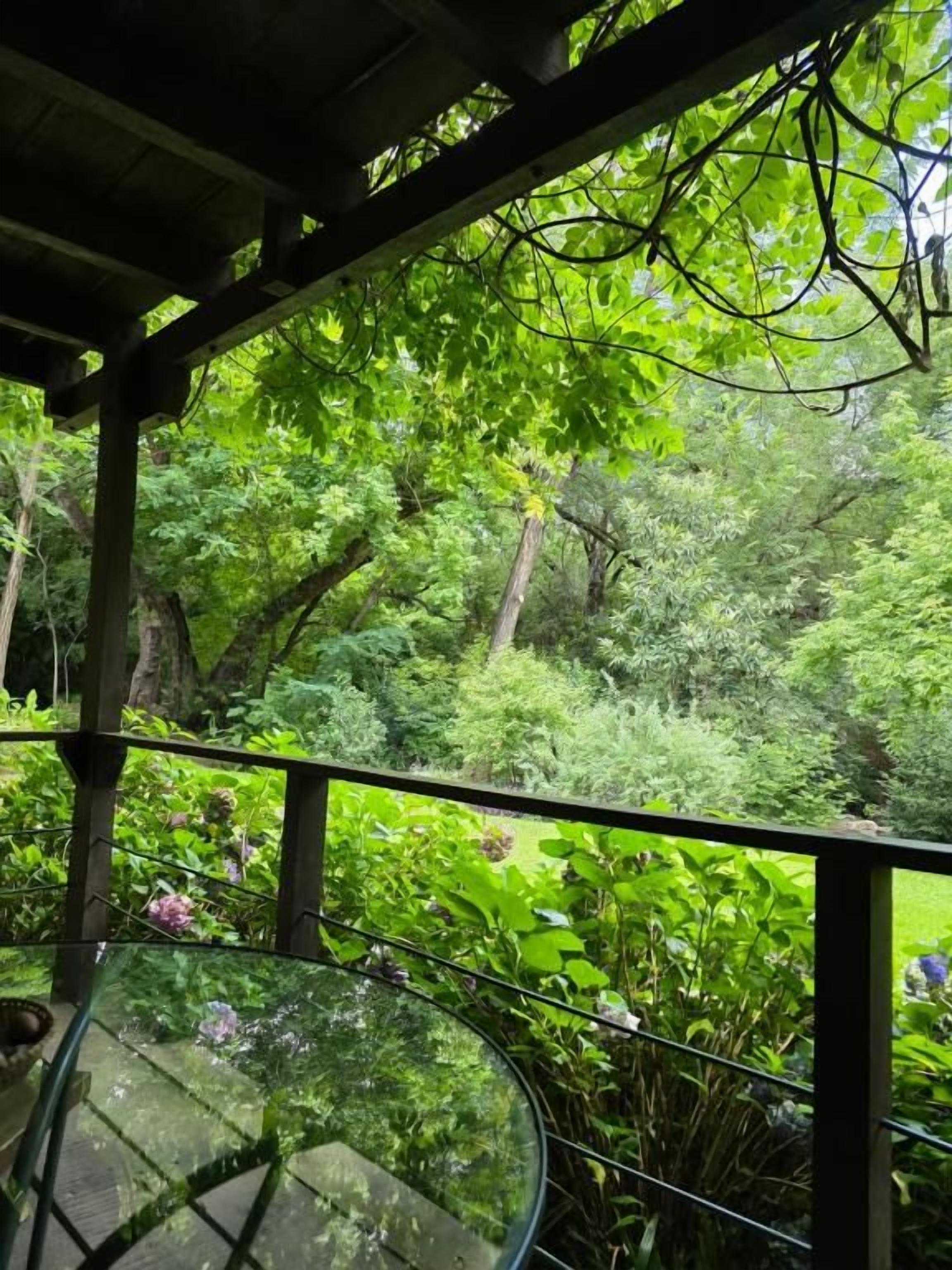 A glass table with a view of a lush garden through a wooden pergola.