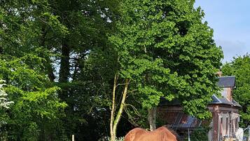 A fenced area with a horse grazing, a picnic table, and a chair.