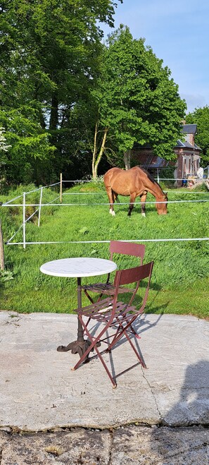 A fenced area with a horse grazing, a picnic table, and a chair. - Holiday Home 'La Parenthèse Cauchoise' with Sea View, Comfort and Tranquility (Malleville-les-Grès)
