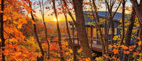 Une cabane entourée du feuillage automnal, avec vue sur le coucher du soleil.