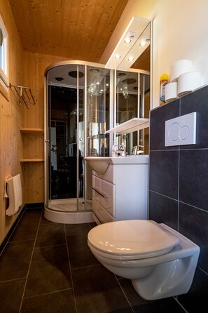 A modern bathroom with a shower enclosure, a toilet, and a sink. - 006 Mw13 in Murau (Murau)