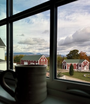A view through a window with a potted plant on the sill, overlooking a red building with a green roof and a white fence.