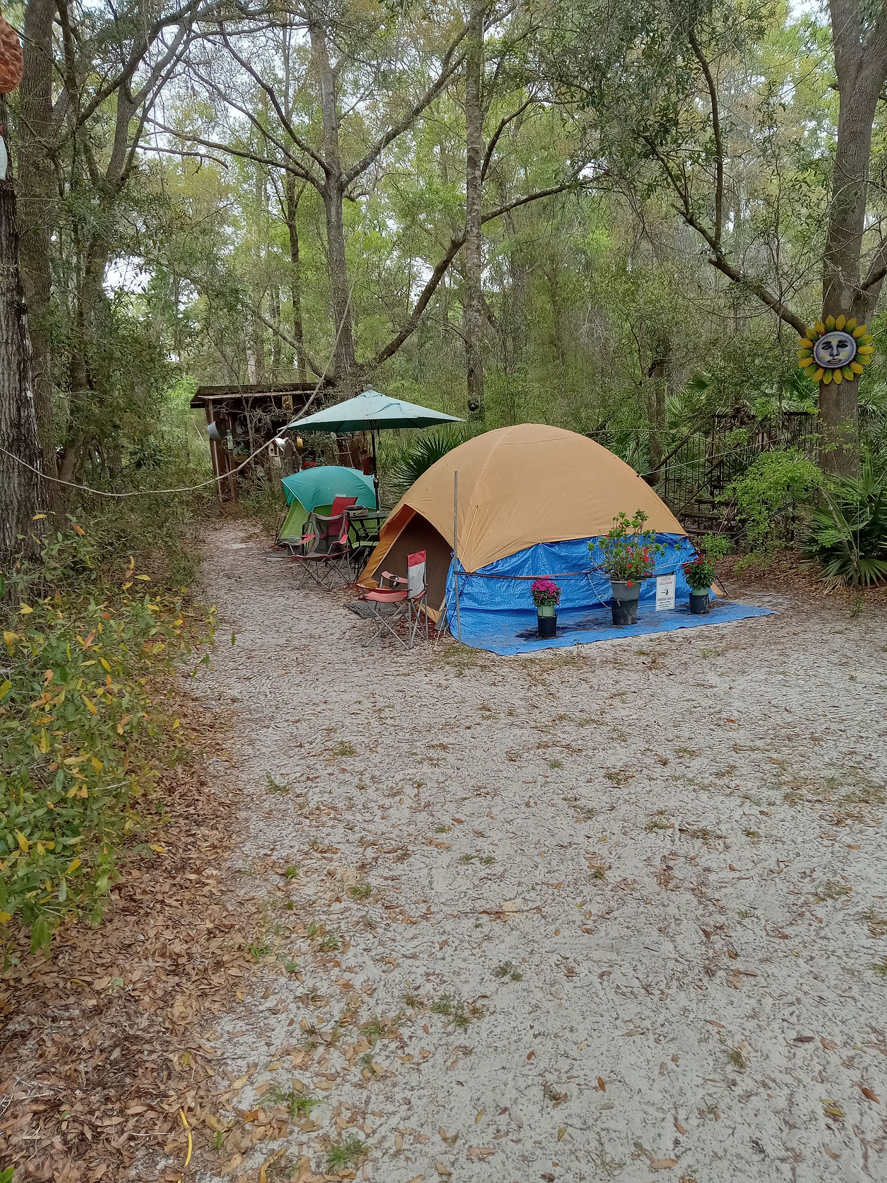 Un terrain de camping avec des tentes, une table, des chaises et une petite construction.