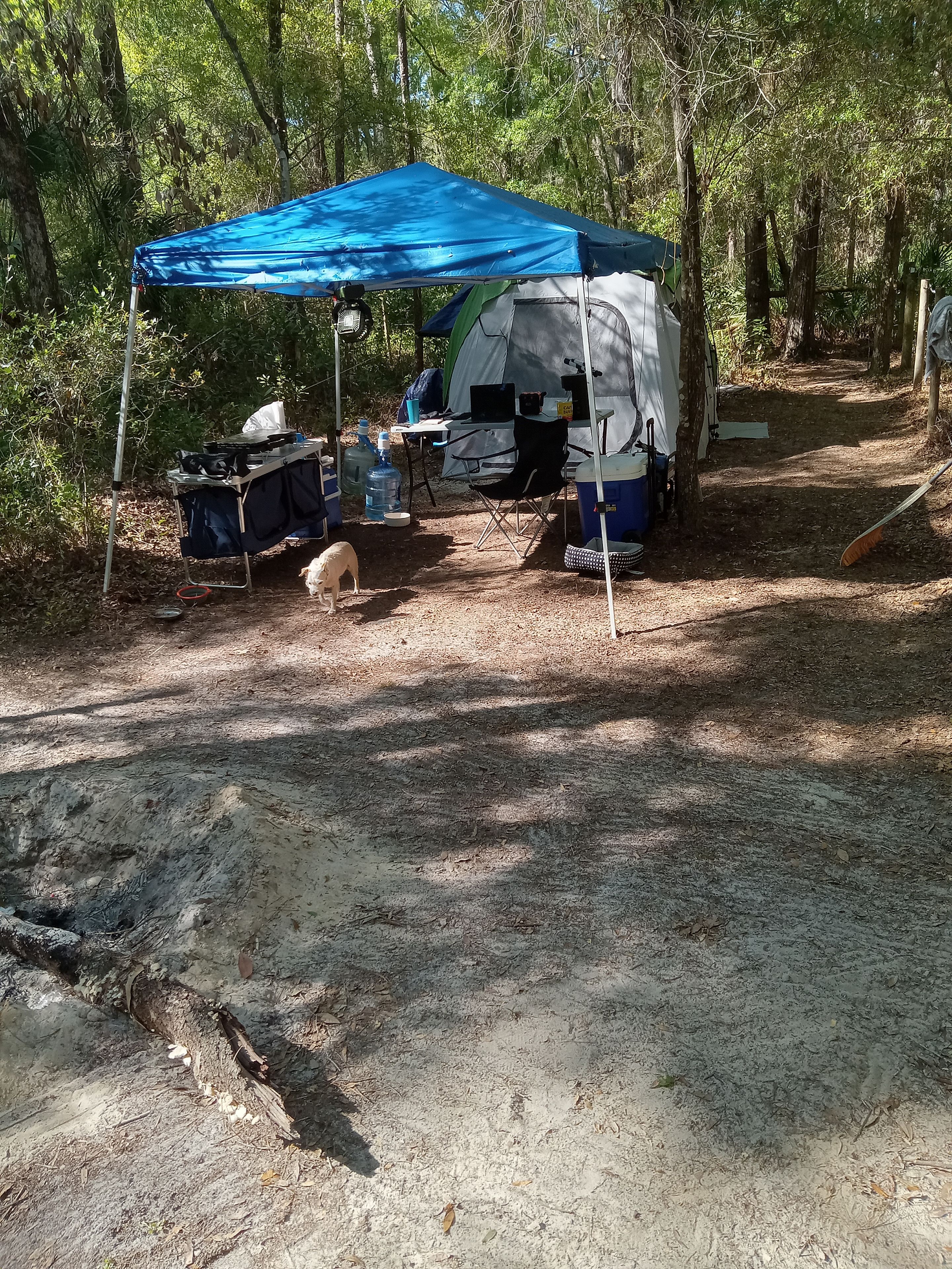 Un campament amb una tenda, una taula amb fogó portàtil i una cadira.