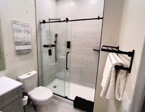 Un baño moderno con ducha envuelta en cristal, un inodoro y un lavabo.