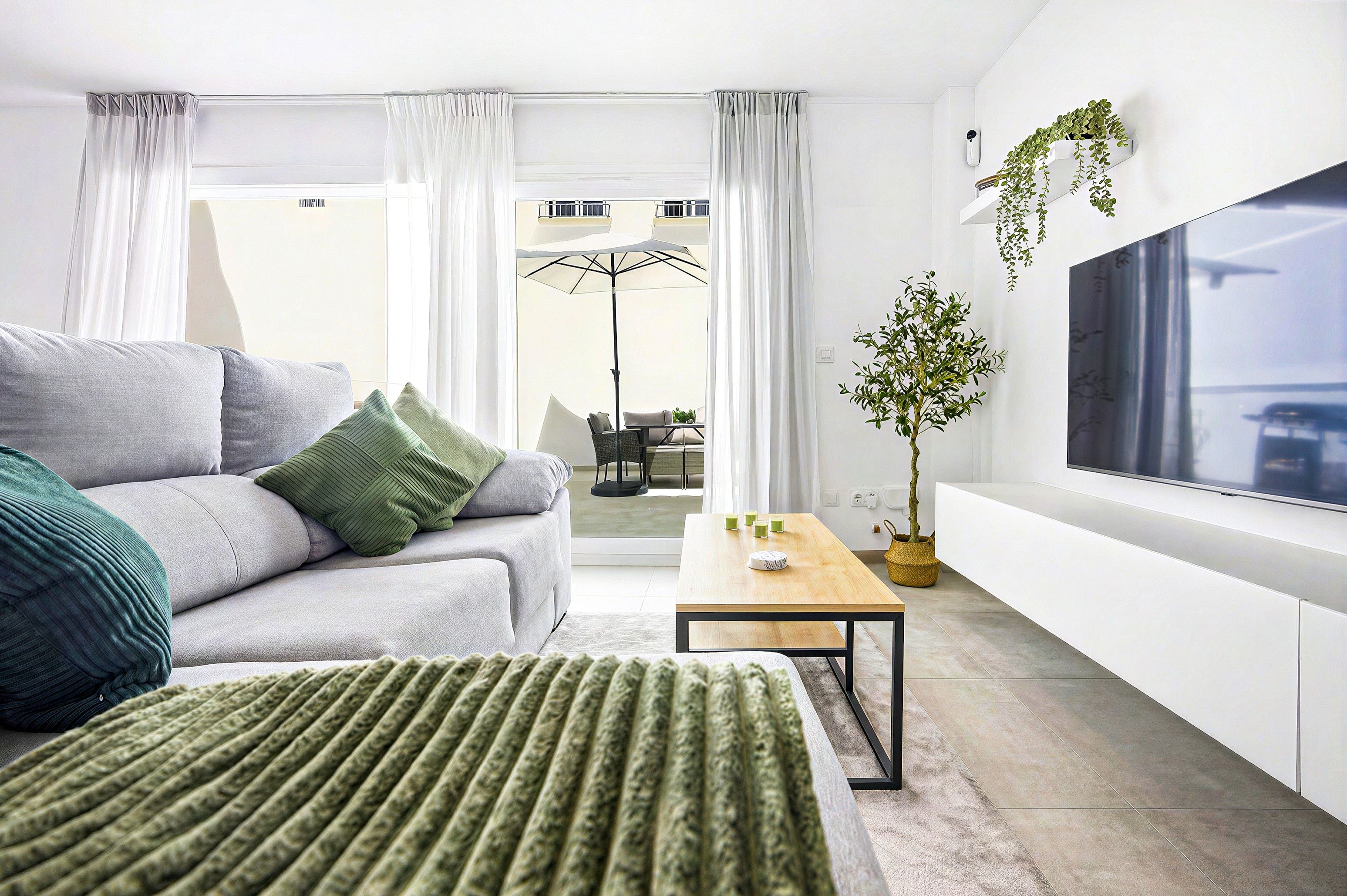 A modern living room with a sofa, a coffee table, a TV, and a potted plant.