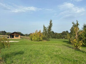 Eine Holzhütte mit Glastür, umgeben von einer Wiese und Bäumen.
