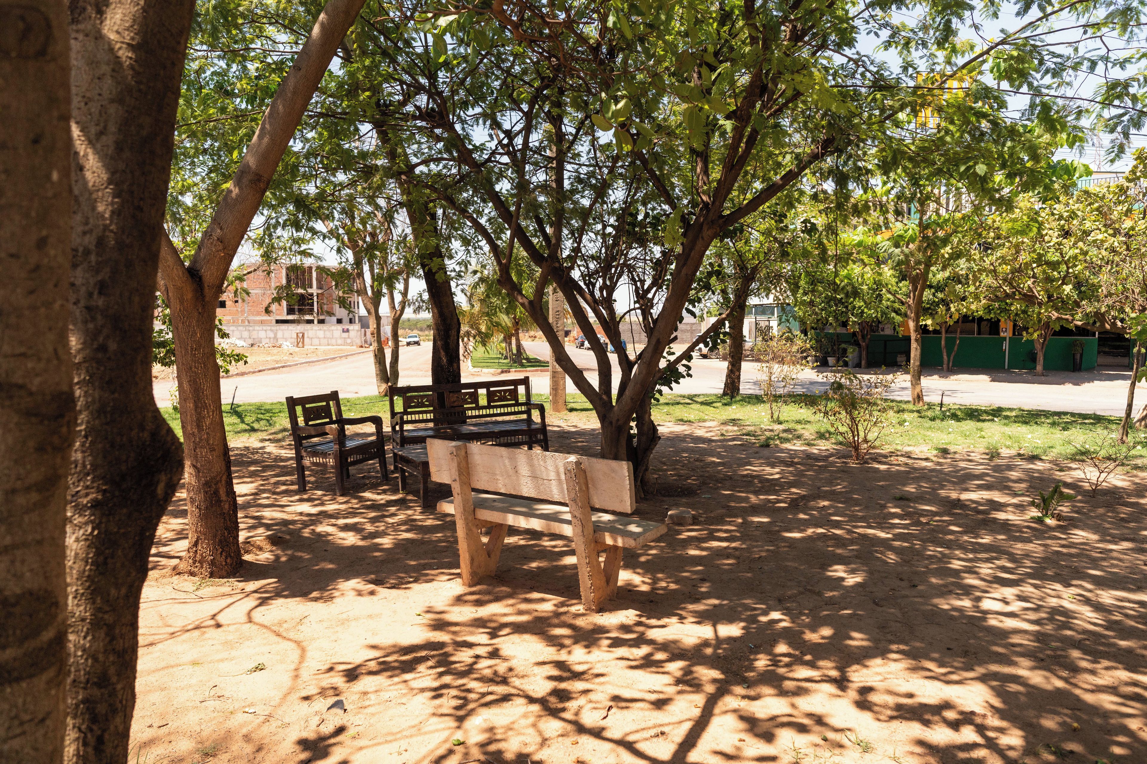A park with a bench under a tree, a paved path, and a building in the background.
