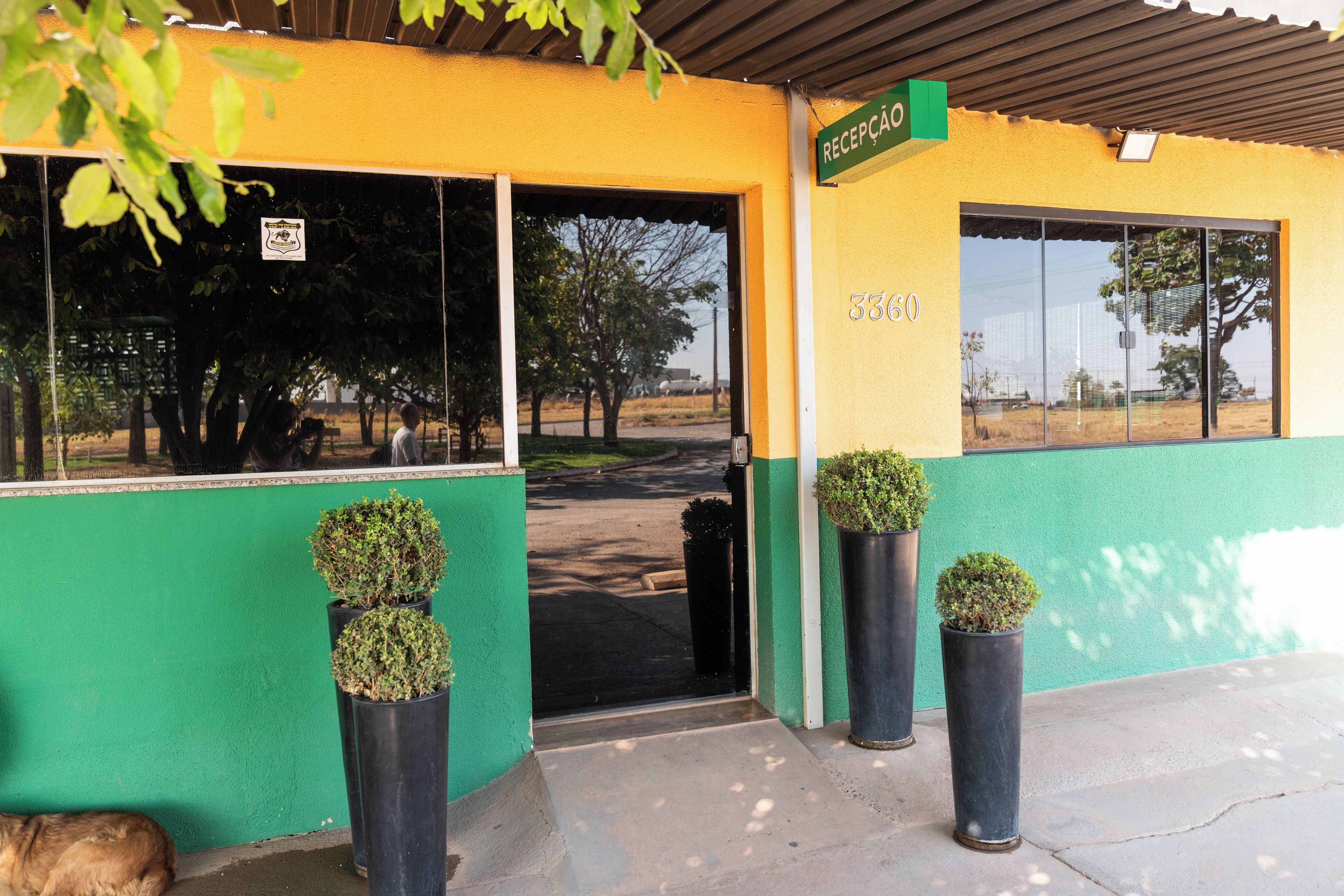 A building with a green and yellow facade, a reception area with a sign, and potted plants in front.