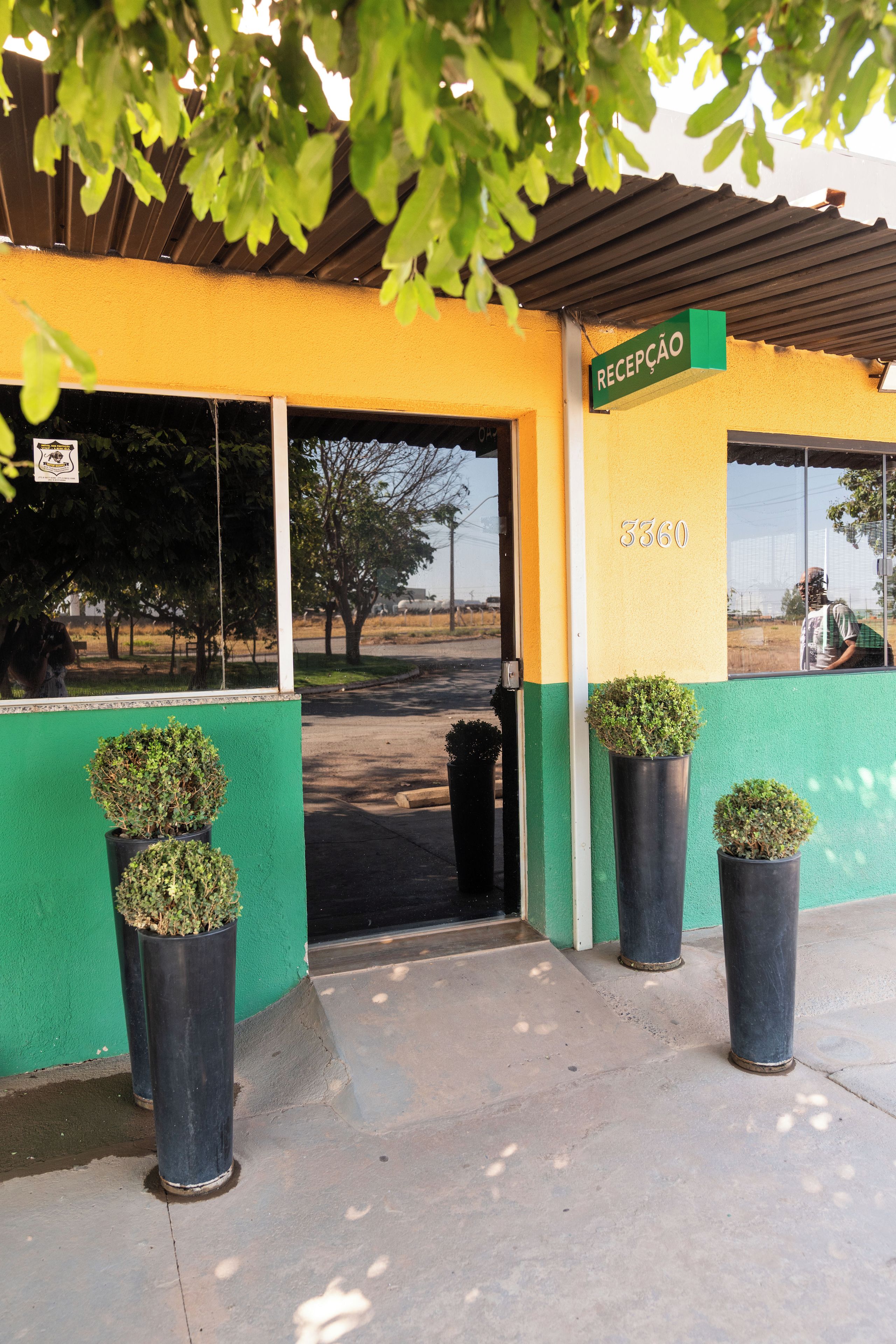 A building with a green and yellow facade, a reception area with a sign, and potted plants in front.