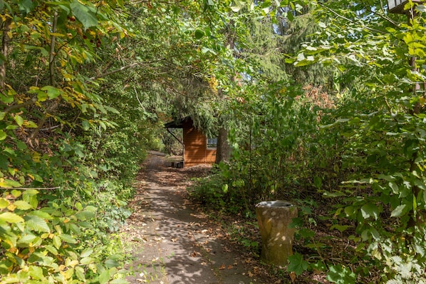 A narrow forest path leading to a wooden structure, surrounded by dense foliage.