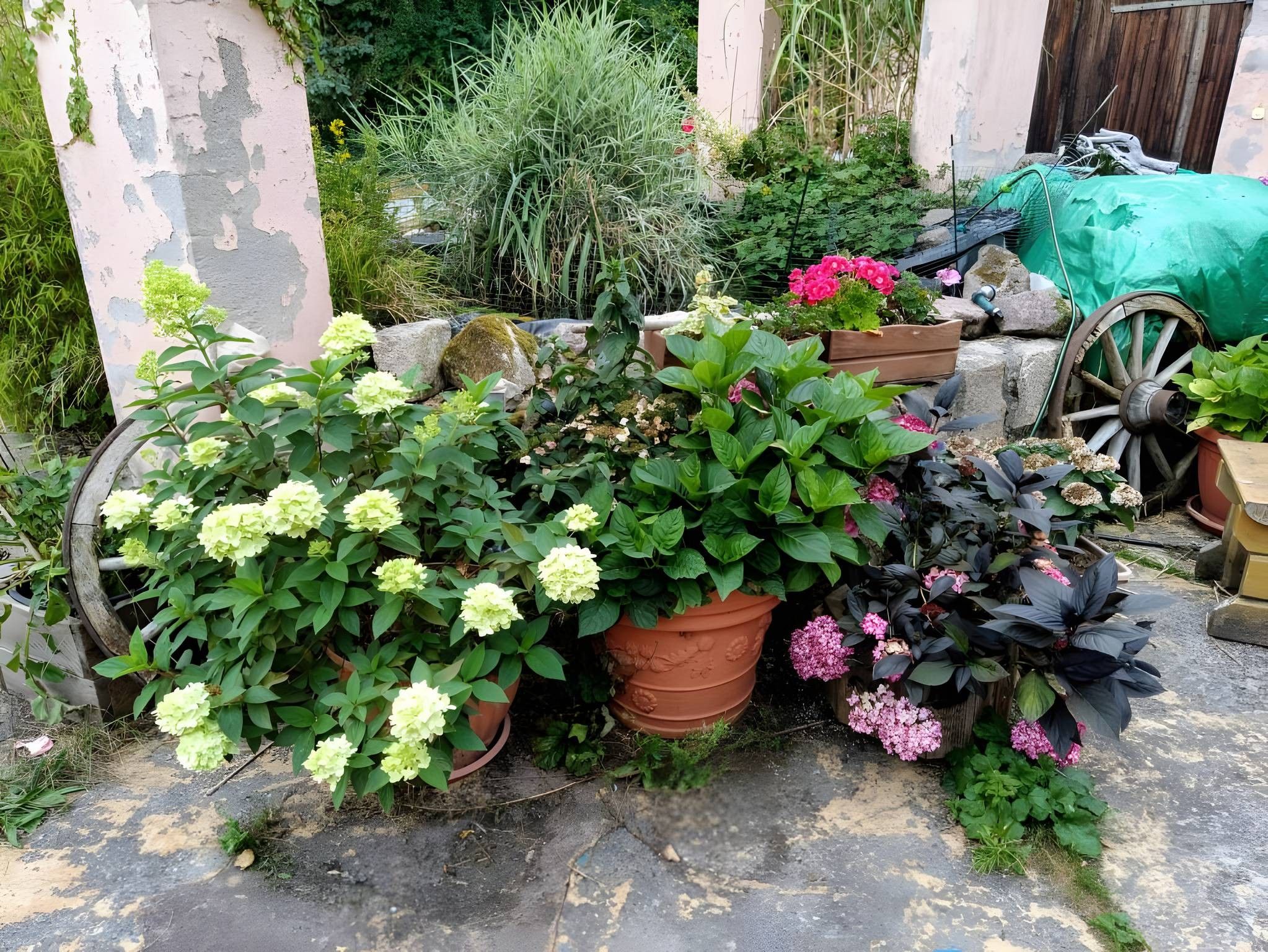 Un jardin agrémenté de plantes en pot et d’une roue de charrette en bois.