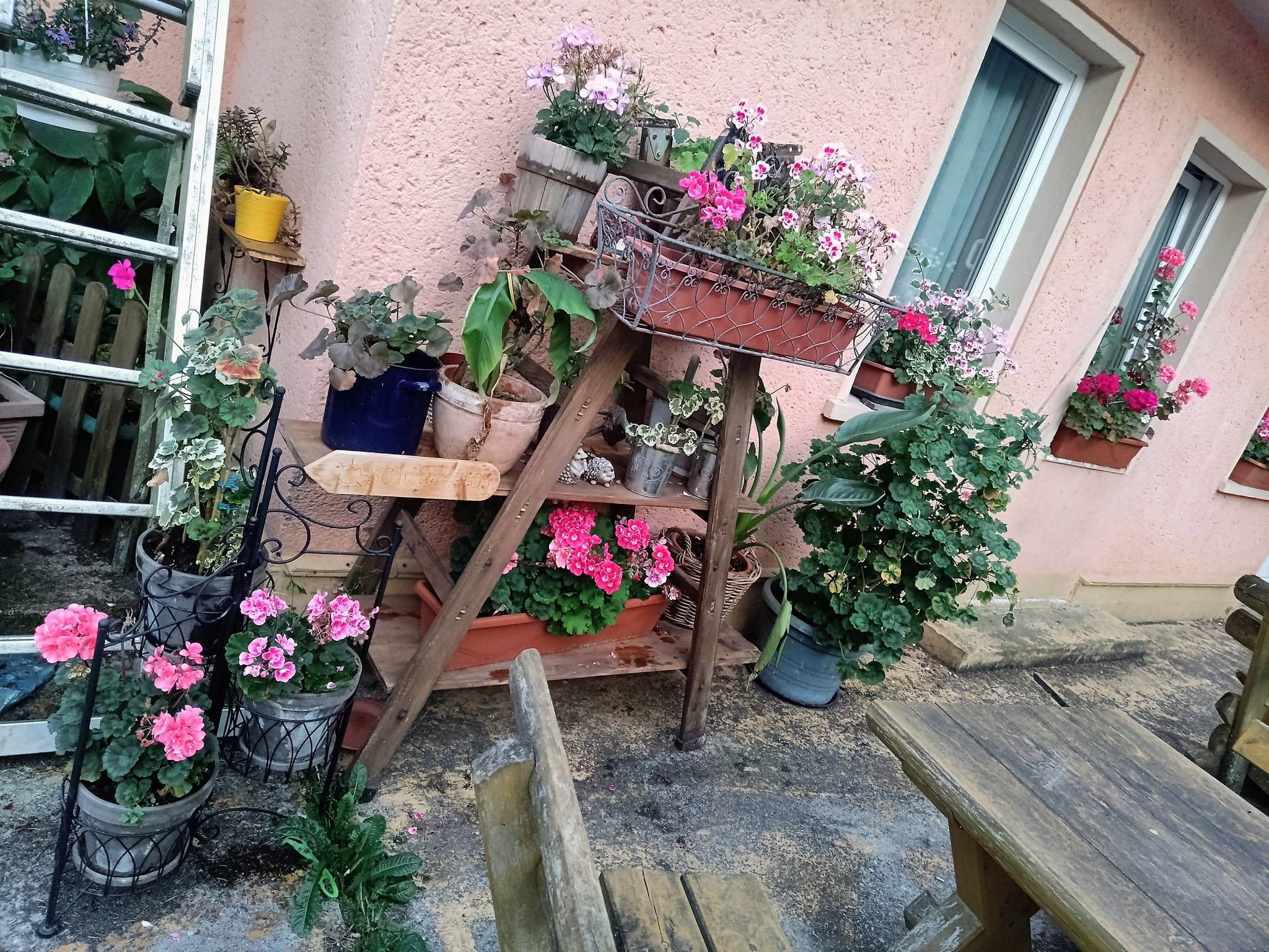 Terras