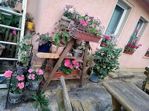 Terrace/patio - Room 'Doppelzimmer 2' with Mountain View and Wi-Fi (Tambach-Dietharz)