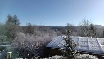 Une maison dont le toit est recouvert de neige, entourée d’une végétation givrée et sous un ciel dégagé.
