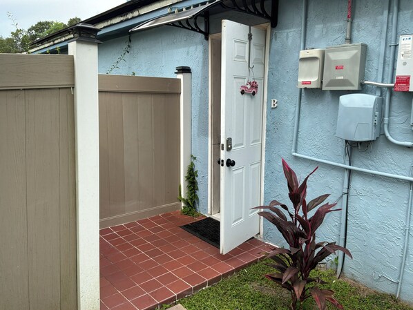 A gated entrance with a door, a small plant, and utility boxes on the wall.