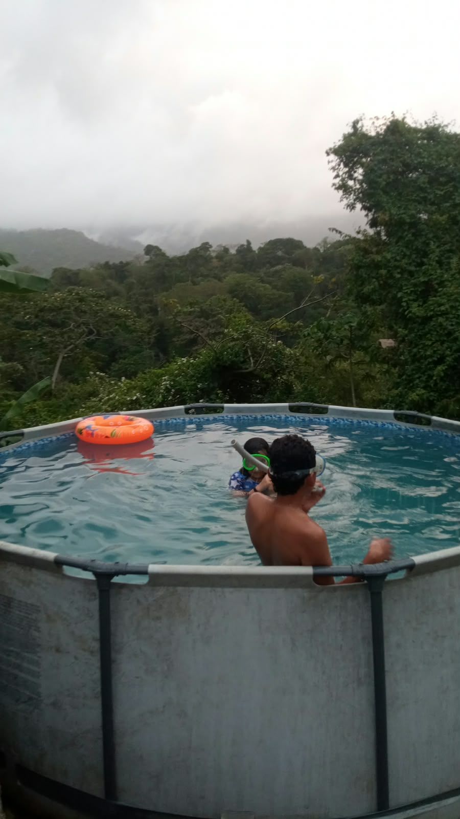 A circular swimming pool with a person and a child inside, surrounded by lush greenery.