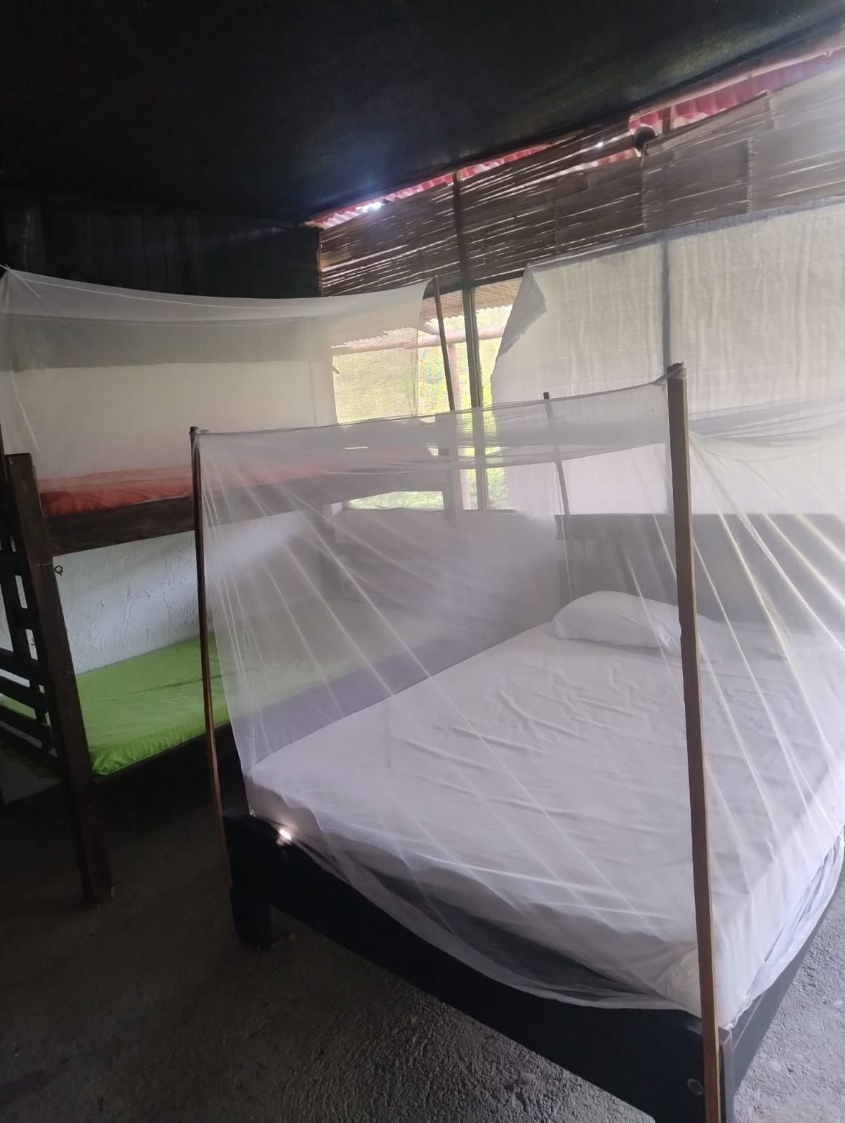 Una habitación con una cama bajo una mosquitera, una litera a la izquierda y una ventana con vistas a follaje.