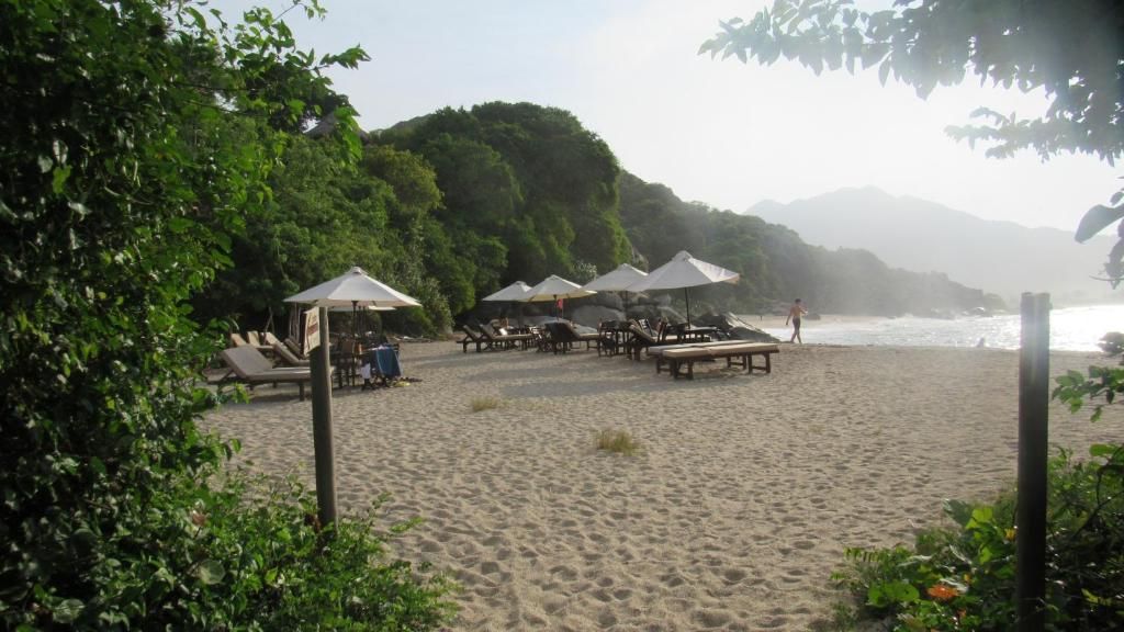 A beach with sun loungers and umbrellas, surrounded by greenery and overlooking the sea.