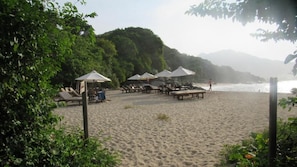 Una playa con tumbonas y sombrillas, rodeada de vegetación y vista al mar.
