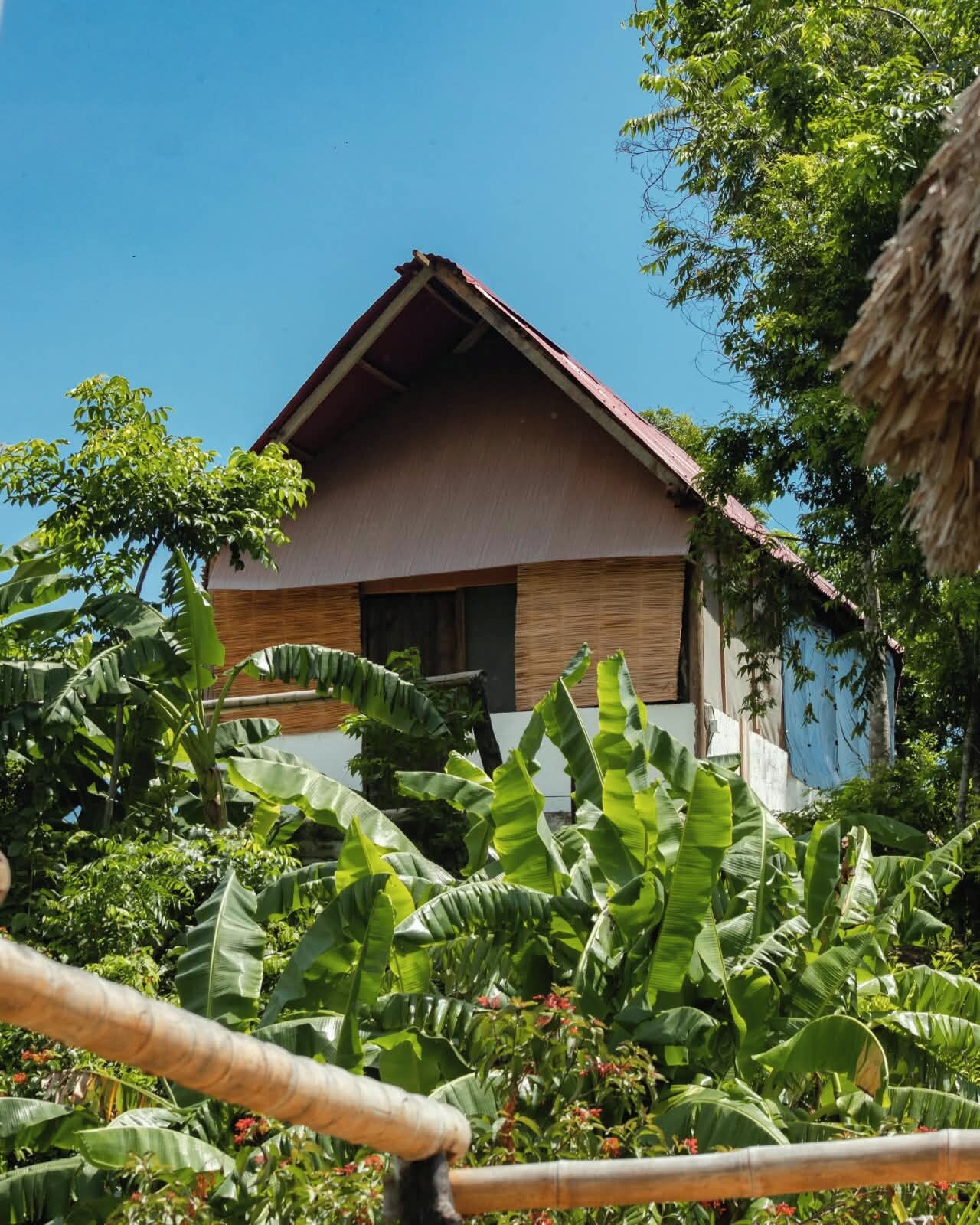 Uma casa com telhado inclinado, rodeada por vegetação exuberante e bananeiras.