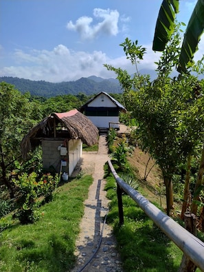 A pathway leading to a building with a thatched roof structure and a modern building with a sloped roof.
