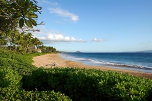 A beach with a clear sky, palm trees, and a sandy shore. - Kihei, Hale Hui Kai, Spacious 4 BR, Sleeps 12 (Kihei)