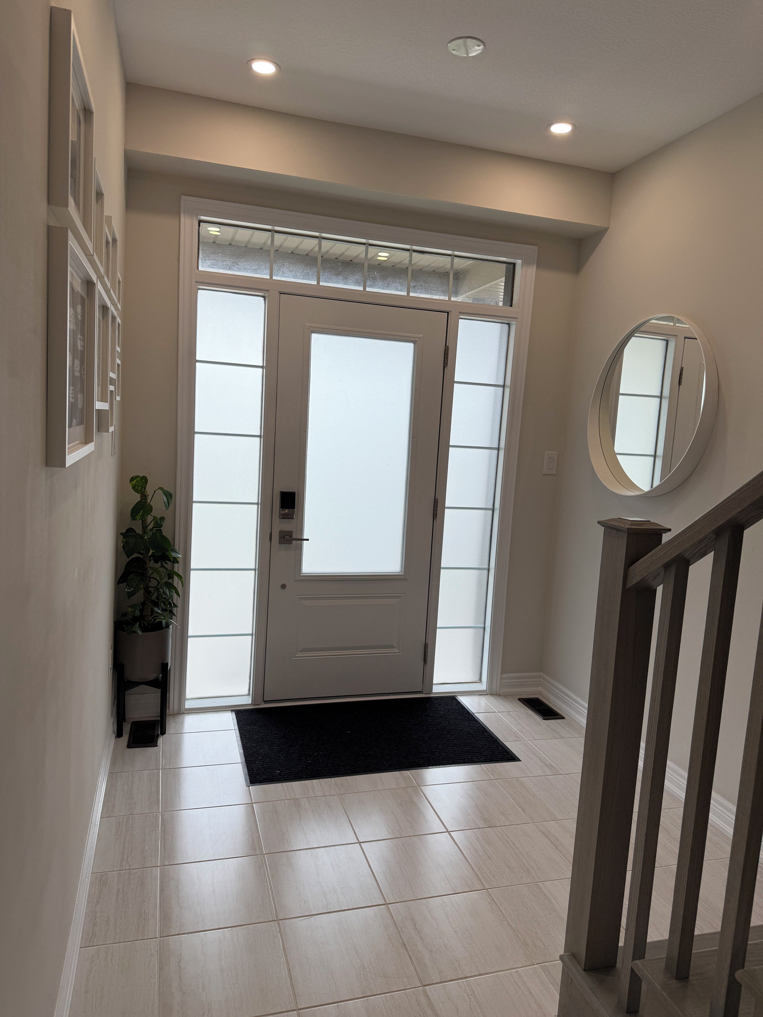 A modern entryway with a glass door, a potted plant, and a black doormat.