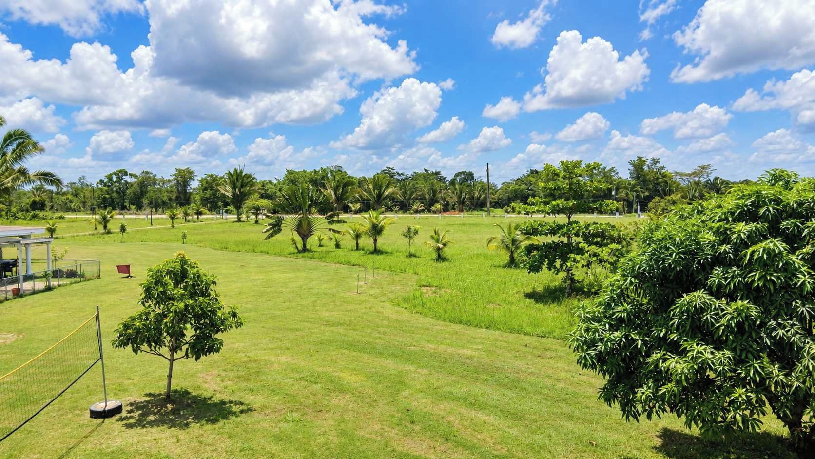 Un campo cubierto de hierba con árboles y un cielo despejado.