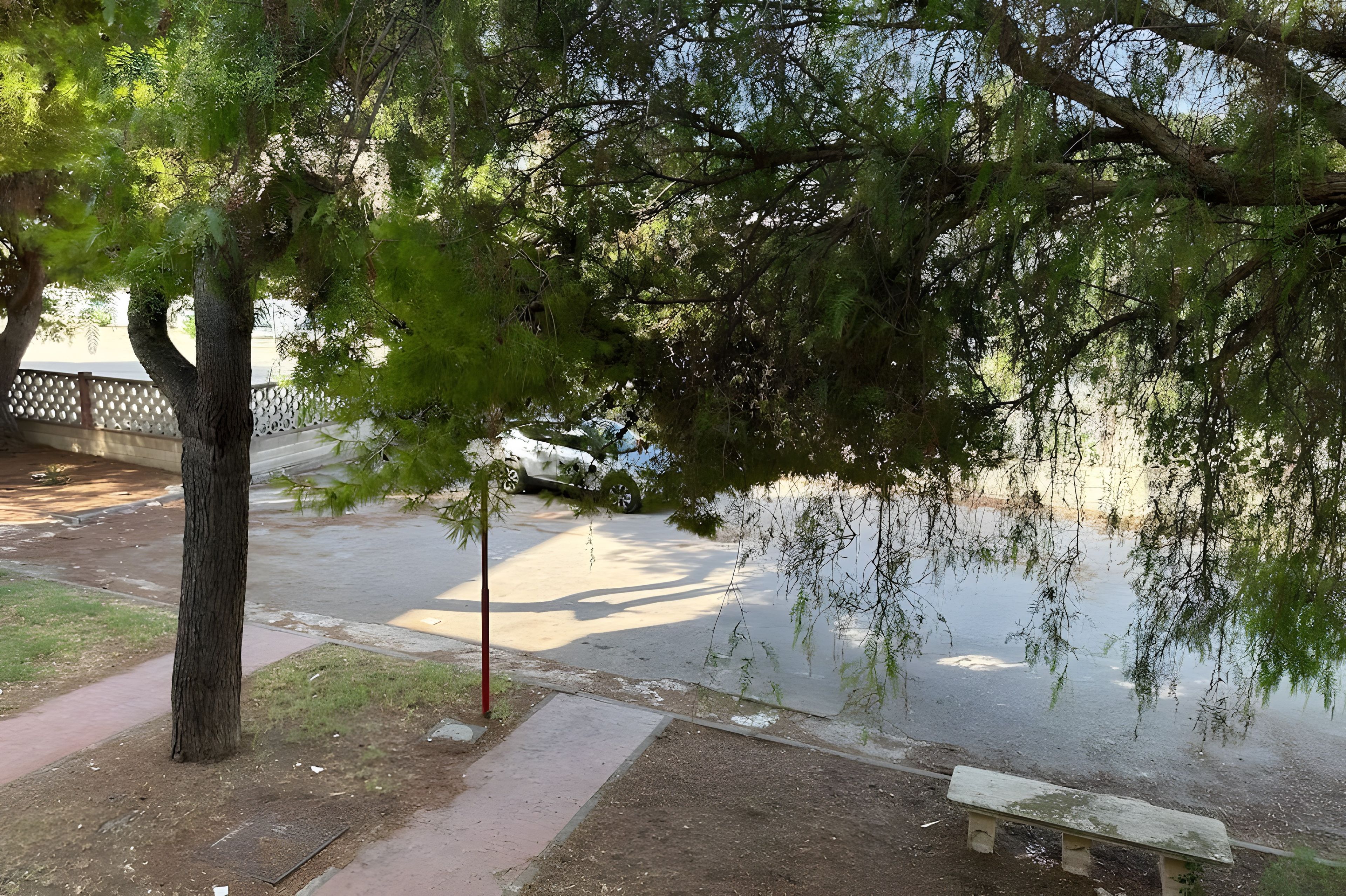 Un camino pavimentado con un banco, un árbol y una cerca al fondo.