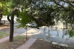 Un camí pavimentat amb una banca, un arbre i una tanca al fons.