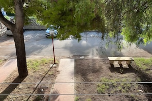 A paved pathway with a bench, a tree, and a road with a parked car.