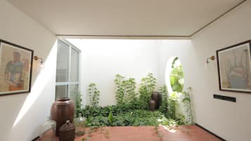 Una habitación con piso de baldosas, un ventanal grande y diversas plantas.