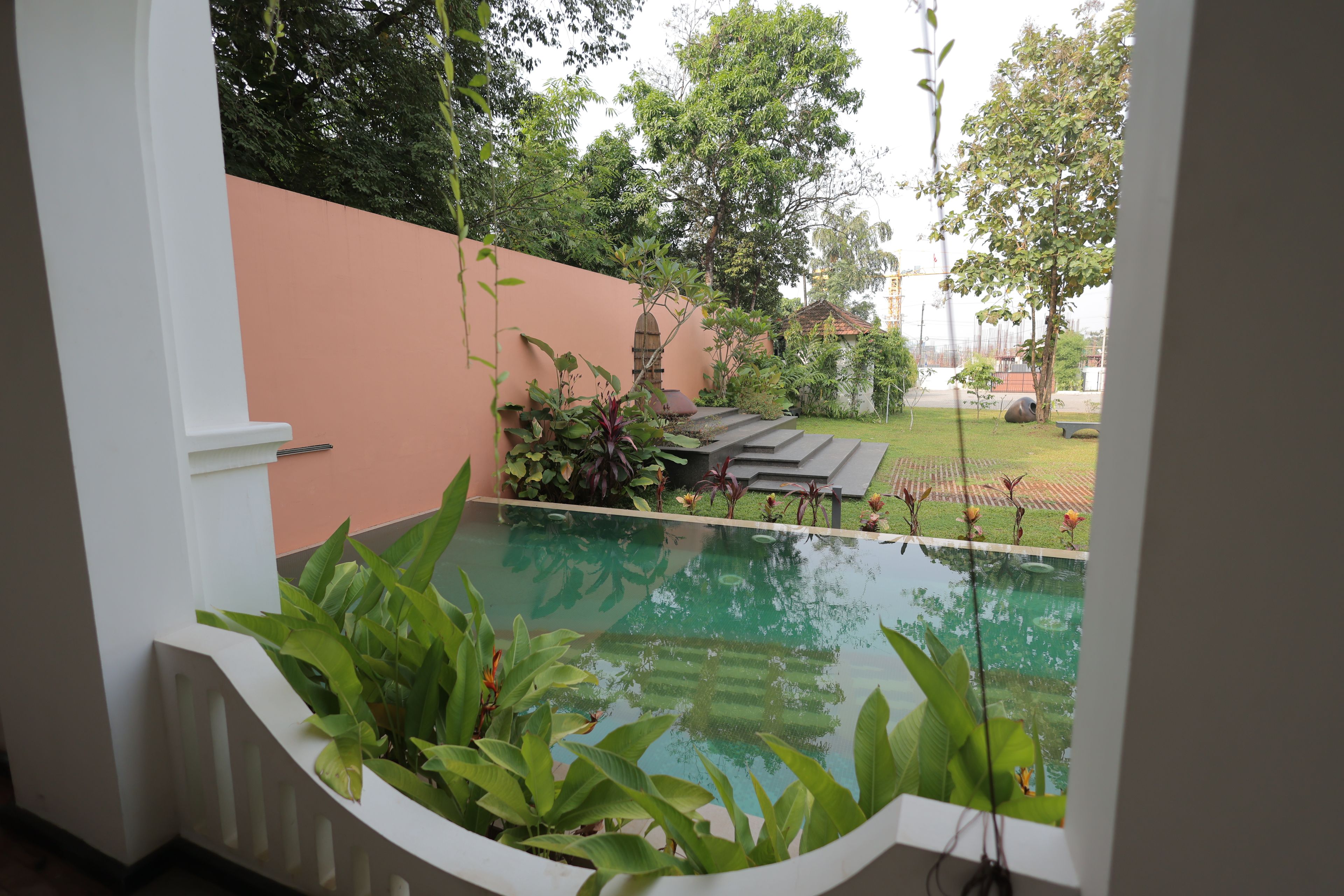 A view of a swimming pool with surrounding greenery and a white wall.