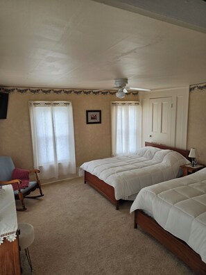 A bedroom with two beds, a ceiling fan, a chair, and a bedside table with a lamp.