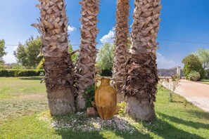A garden with palm trees and a large vase. - Villa Carolyta by BarbarHouse (Francavilla Fontana)