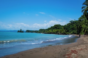 Beach - Sononaecologde (Nuquí)