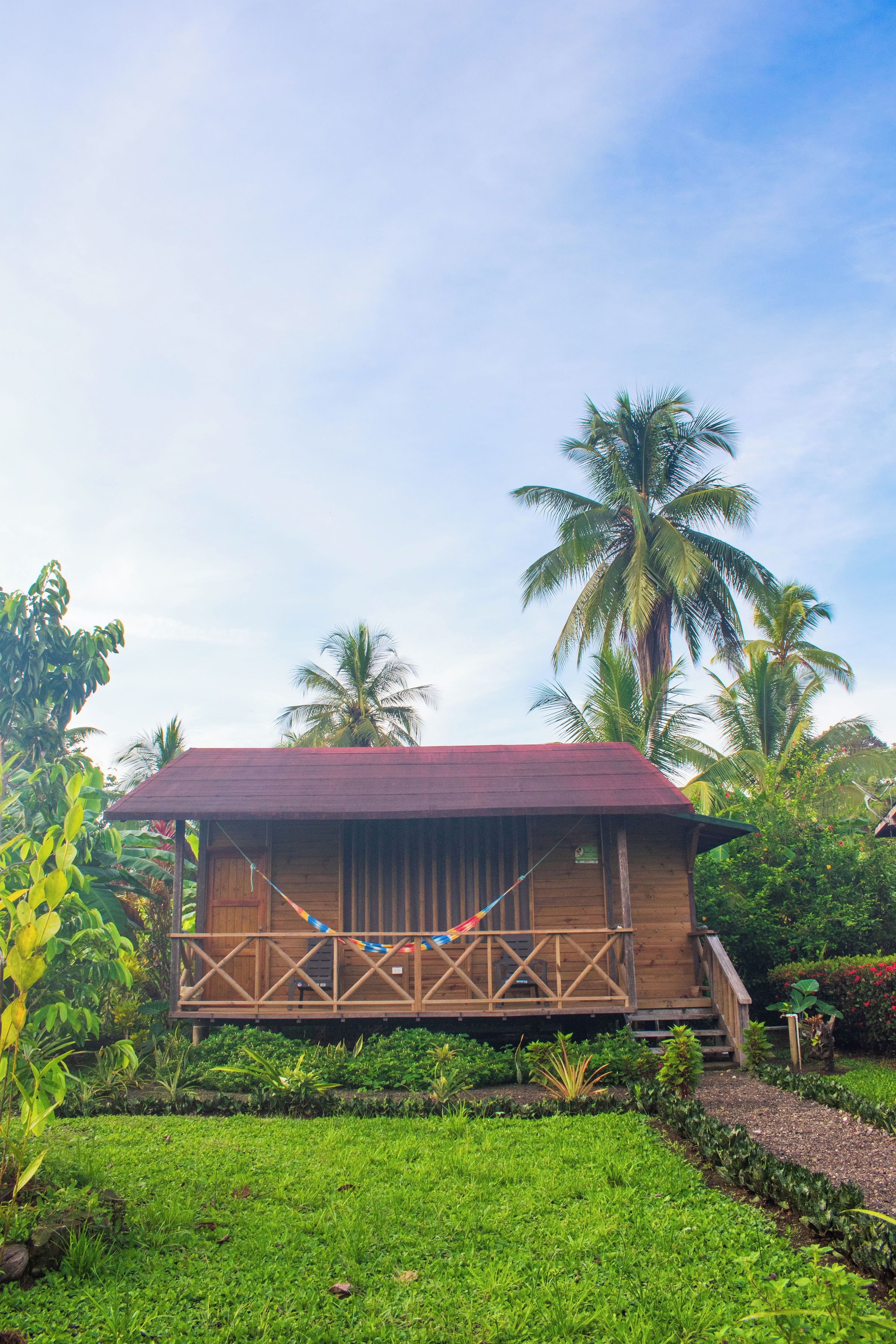 A wooden house with a red roof, surrounded by lush greenery and palm trees.