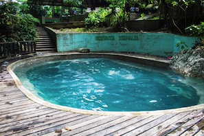 Una piscina con cubierta de madera, rodeada de vegetación y un muro con grafitis.