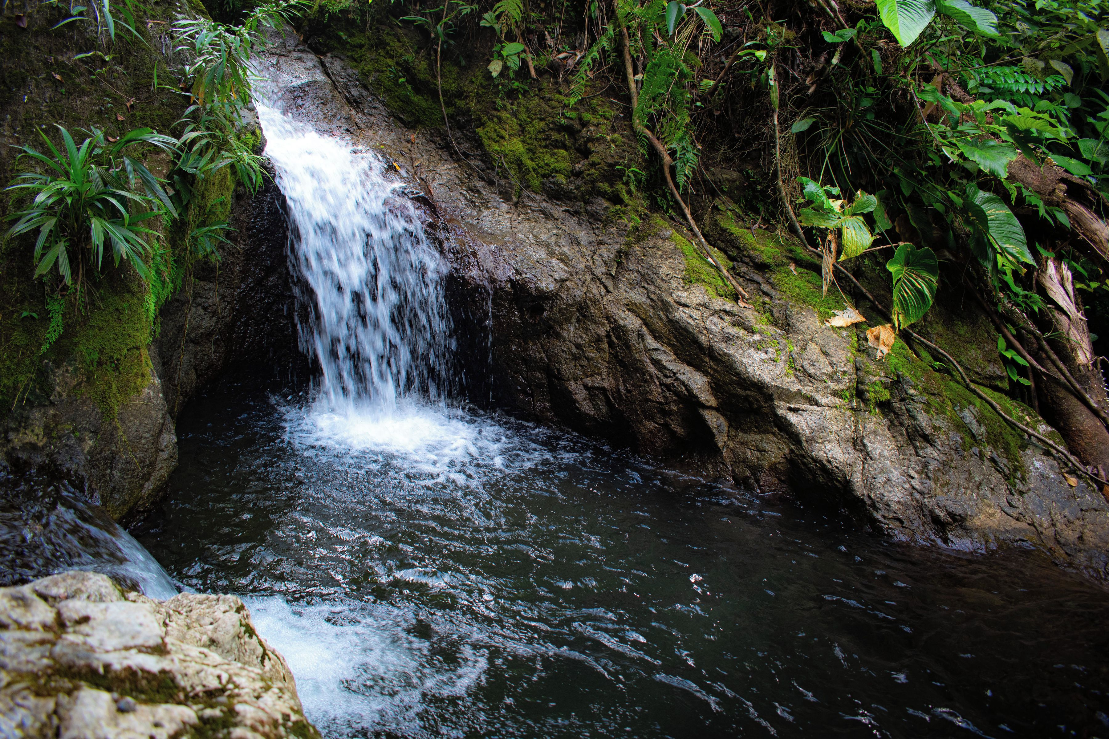 Una cascada en un área boscosa con terreno rocoso y abundante vegetación.